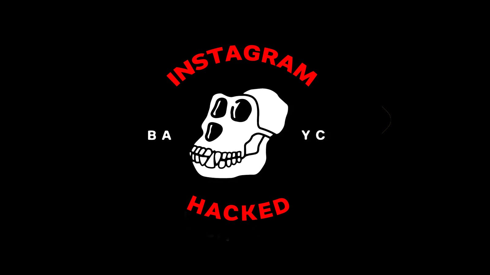 BAYC Insta Hack